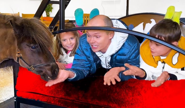 Ночь в отеле с настоящей пони